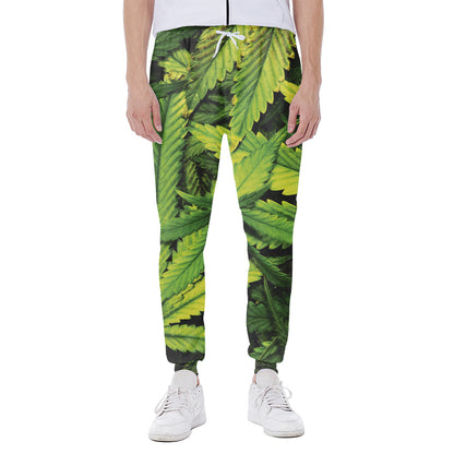 Cannabis Print Scuba Joggers