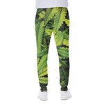 Cannabis Print Scuba Joggers