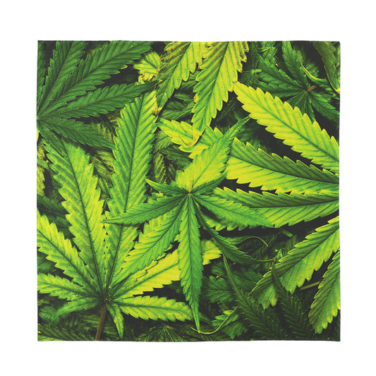 Cannabis Print Silk Bandana