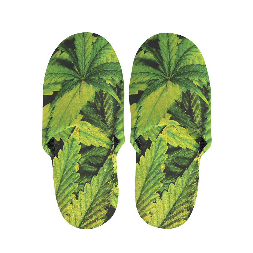 Cannabis Print Slippers