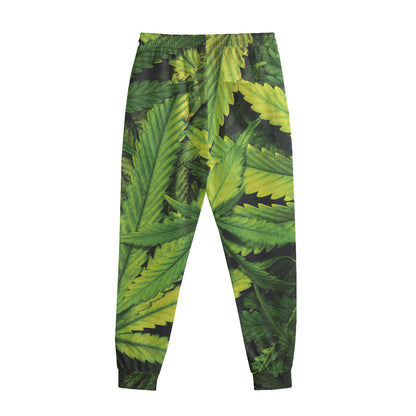 Cannabis Print Sweatpants