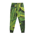 Cannabis Print Sweatpants