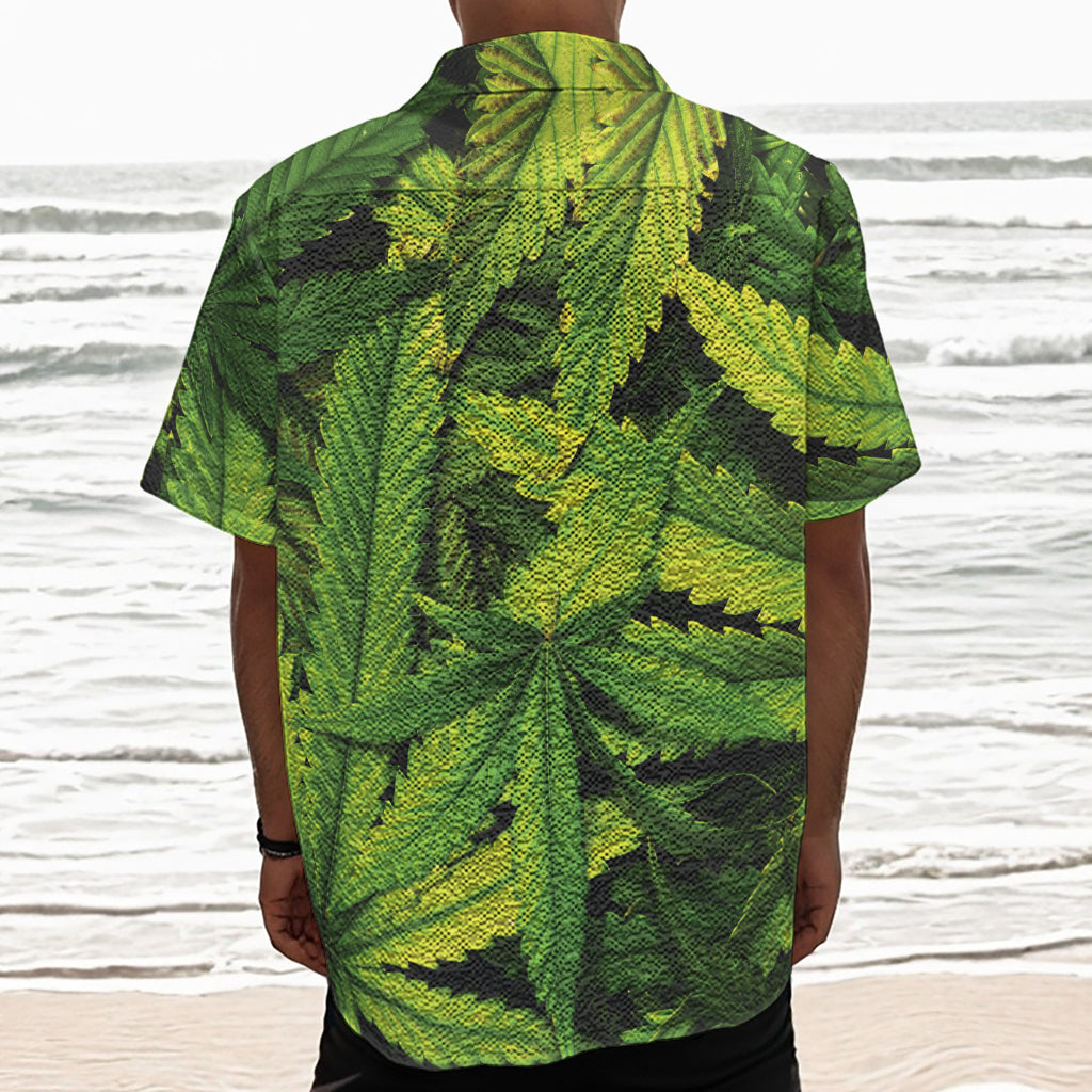 Cannabis Print Textured Short Sleeve Shirt