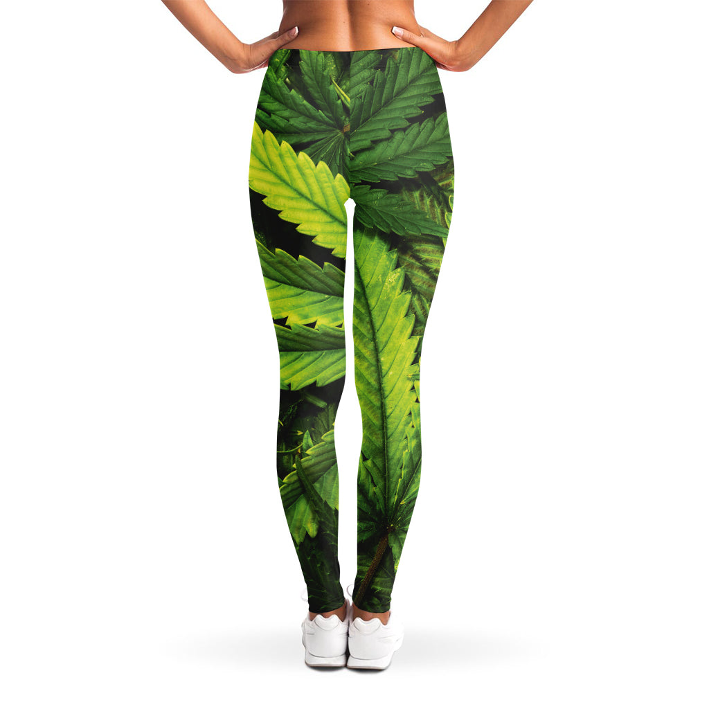 Cannabis Print Women's Leggings