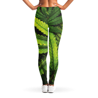 Cannabis Print Women's Leggings