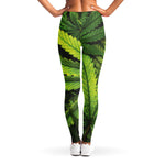Cannabis Print Women's Leggings