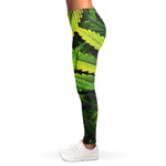 Cannabis Print Women's Leggings
