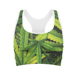 Cannabis Print Women's Sports Bra