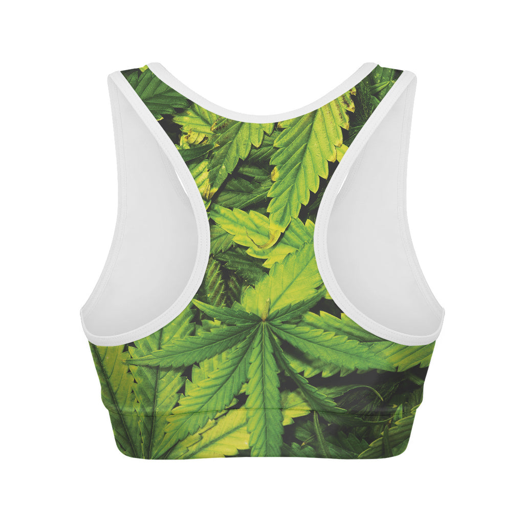 Cannabis Print Women's Sports Bra