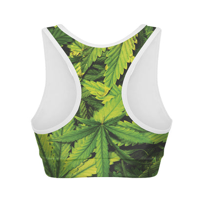Cannabis Print Women's Sports Bra