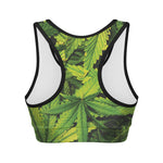 Cannabis Print Women's Sports Bra