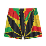 Cannabis Rasta Print Mesh Shorts