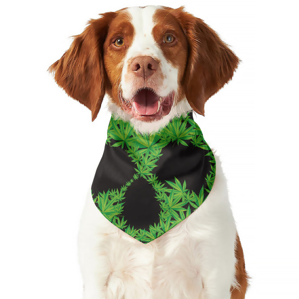 Cannabis Skull Print Dog Bandana