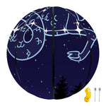 Capricorn Constellation Print Basketball
