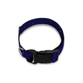 Capricorn Constellation Print Dog Collar