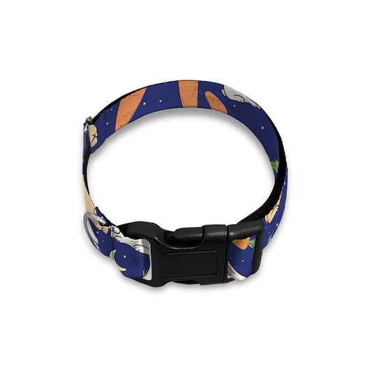Carrot And Rabbit Pattern Print Dog Collar