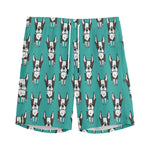 Cartoon Boston Terrier Pattern Print Men's Sports Shorts