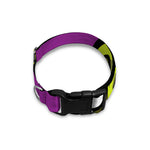 Cartoon Frankenstein Print Dog Collar