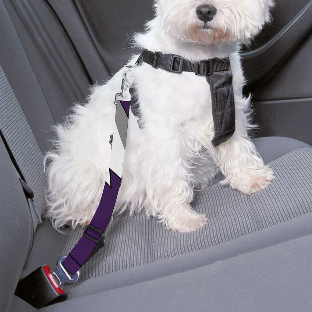 Cartoon Ghost Pattern Print Dog Seat Belt