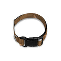 Cartoon Kulan Donkey Pattern Print Dog Collar