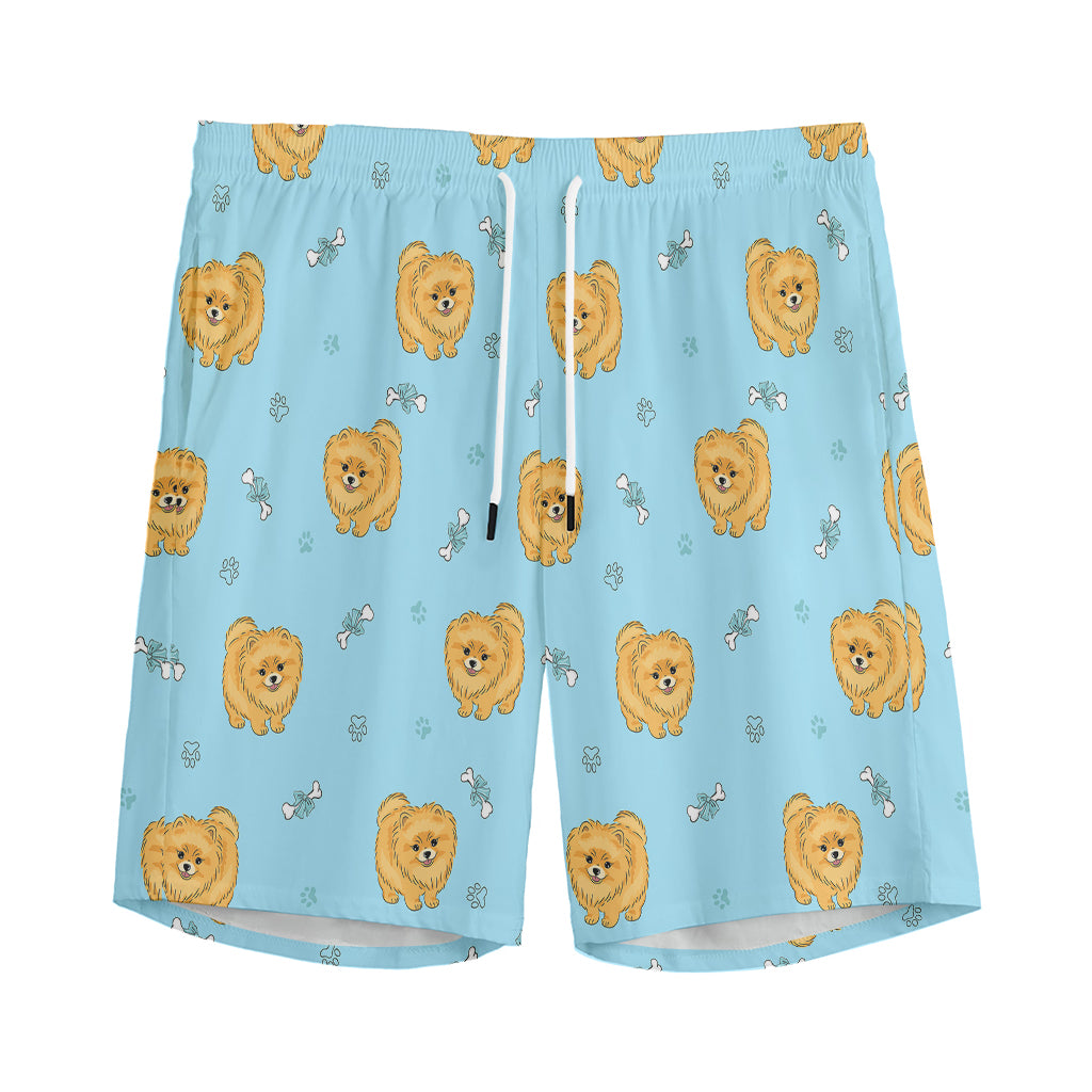 Cartoon Pomeranian Pattern Print Men's Sports Shorts