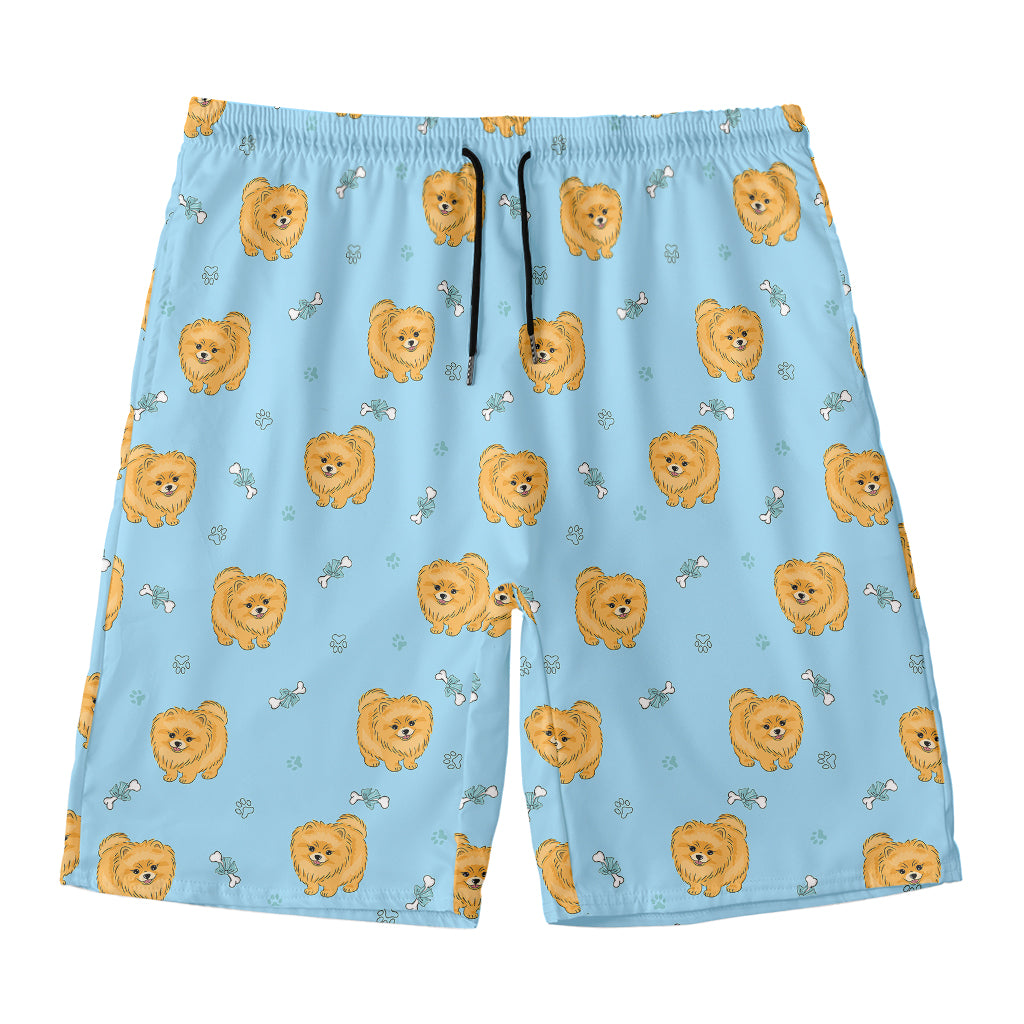 Cartoon Pomeranian Pattern Print Men's Swim Trunks
