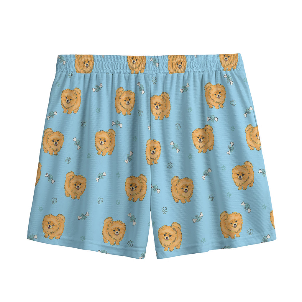 Cartoon Pomeranian Pattern Print Mesh Shorts