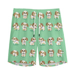 Cartoon Shih Tzu Pattern Print Men's Sports Shorts