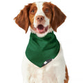 Casino Poker Chips Print Dog Bandana