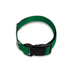 Casino Poker Chips Print Dog Collar