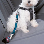 Casino Poker Pattern Print Dog Seat Belt