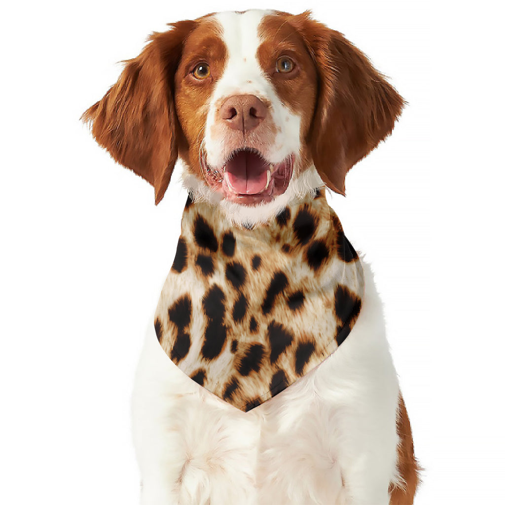 Cheetah Print Dog Bandana