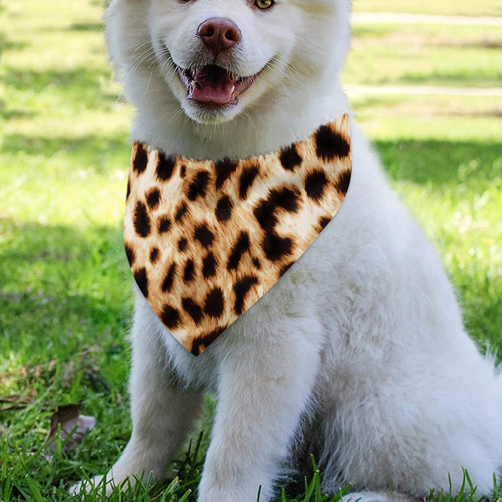 Cheetah Print Over The Collar Dog Bandana
