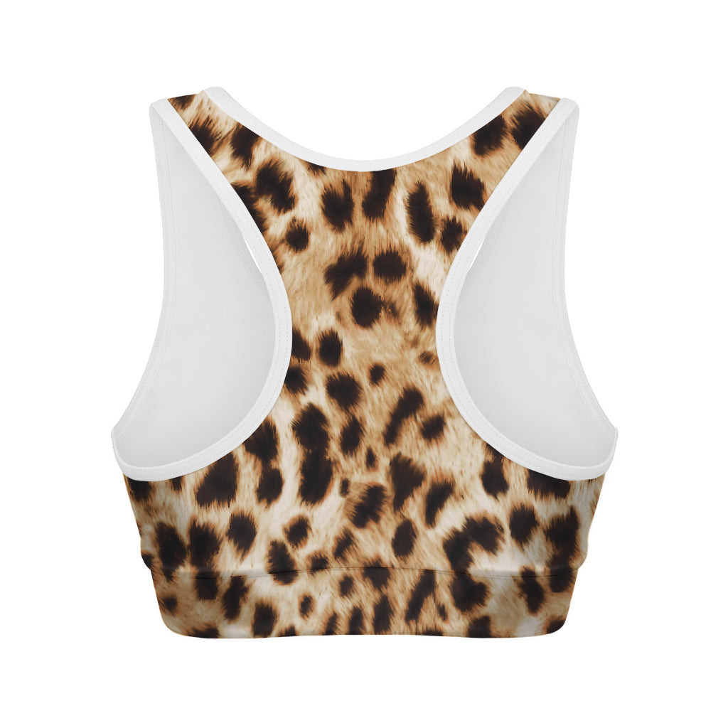 Cheetah Print Women's Sports Bra