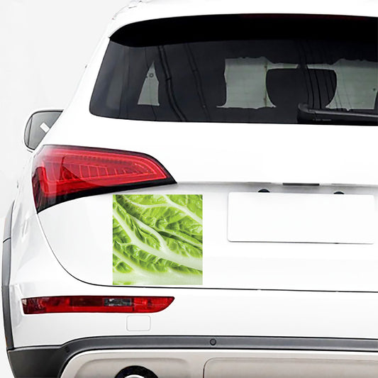 Chinese Cabbage Leaf Print Car Sticker