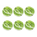 Chinese Cabbage Leaf Print Coaster Set
