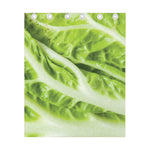 Chinese Cabbage Leaf Print Curtain