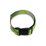 Chinese Cabbage Leaf Print Dog Collar