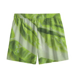Chinese Cabbage Leaf Print Mesh Shorts