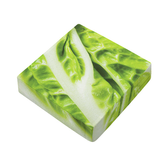 Chinese Cabbage Leaf Print Outdoor Seat Cushion Cover