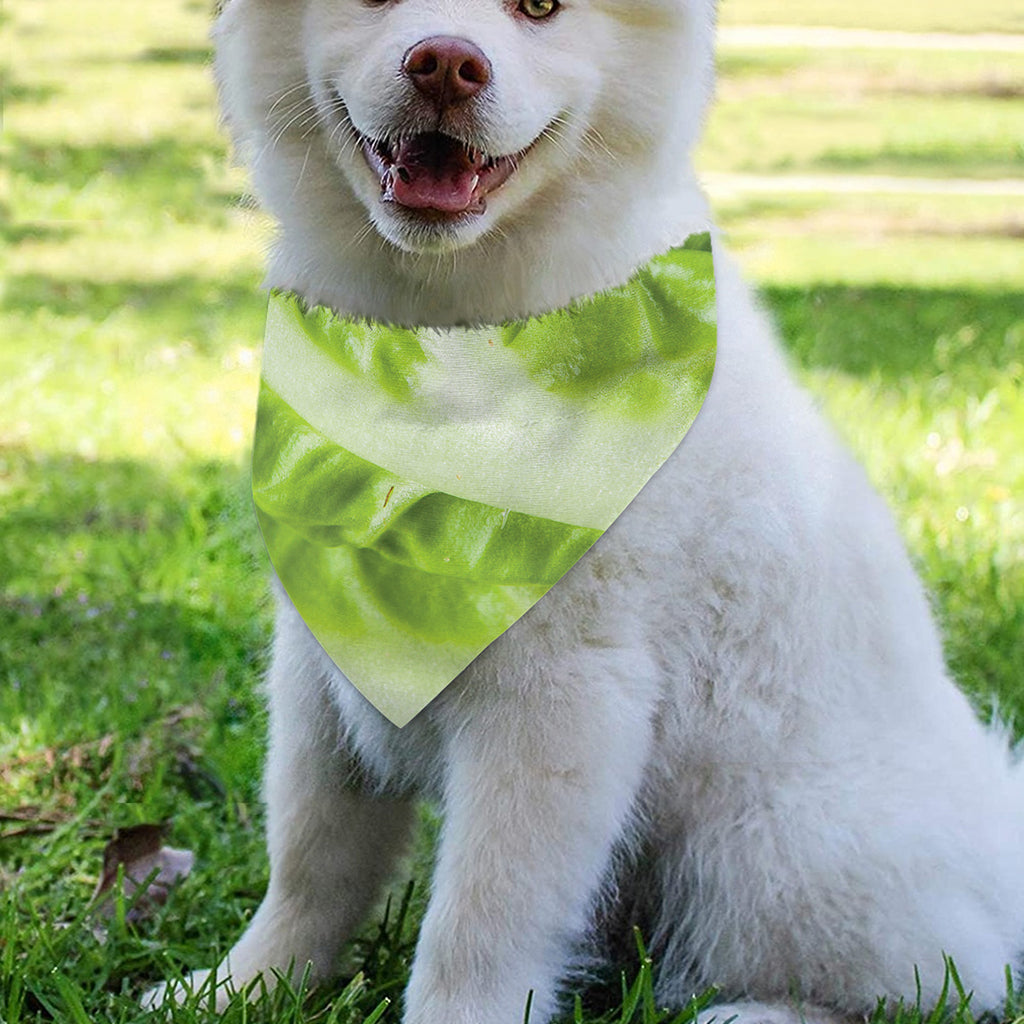 Chinese Cabbage Leaf Print Over The Collar Dog Bandana
