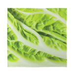 Chinese Cabbage Leaf Print Silk Bandana