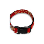 Chinese Phoenix Print Dog Collar