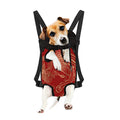 Chinese Phoenix Print Pet Carrier Backpack