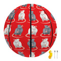 Chinese Rat Zodiac Pattern Print Basketball