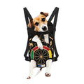 Chinese Zodiac Calendar Wheel Print Pet Carrier Backpack