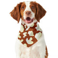 Chocolate And Milk Cow Print Dog Bandana