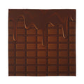 Chocolate Print Silk Bandana