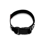 Christian Cross Religious Words Print Dog Collar