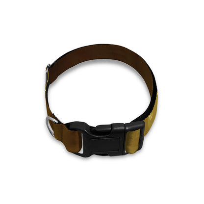 Christian Holy Bible Print Dog Collar